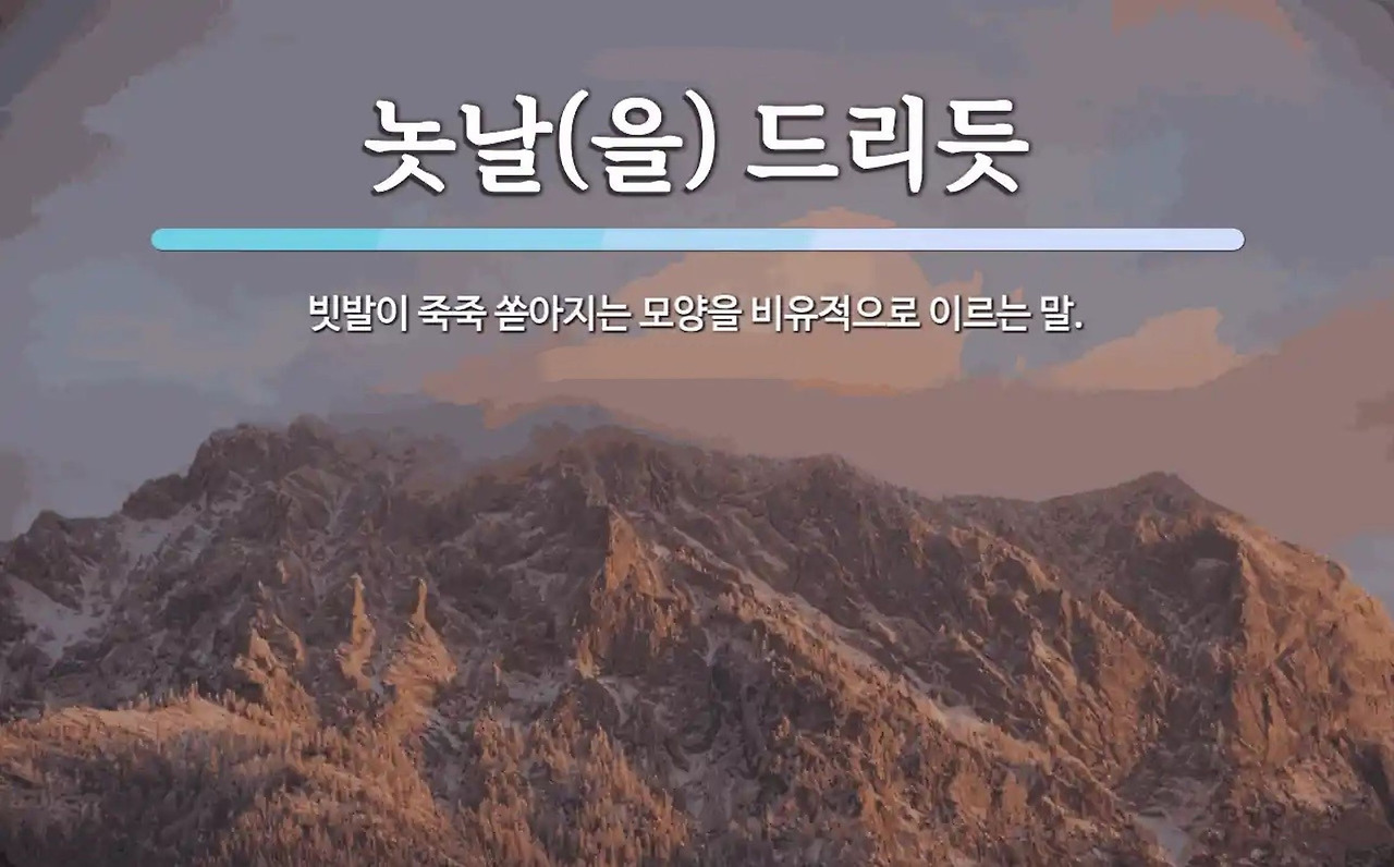 놋날2.jpg