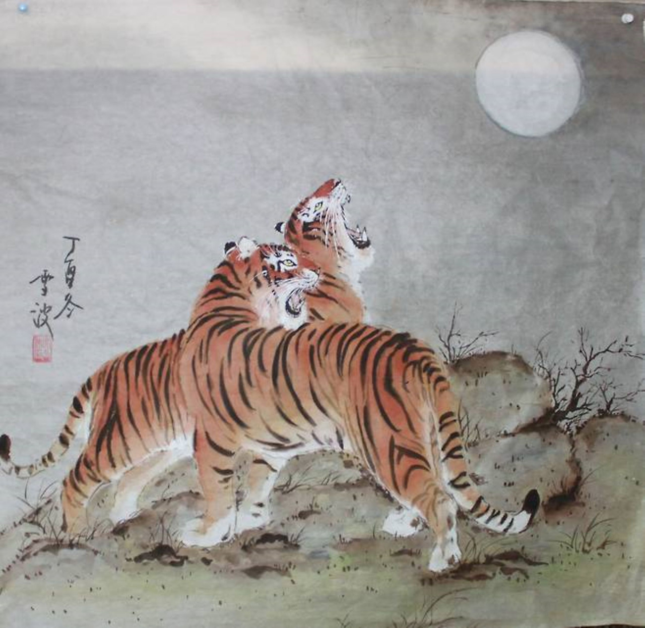 호랑이들.jpg