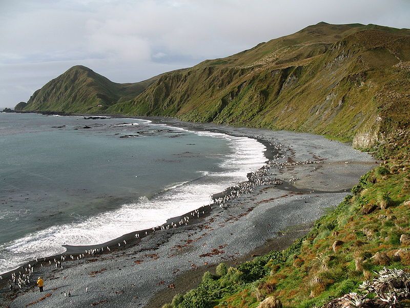 800px-MacquarieIsland7요다위키.jpg