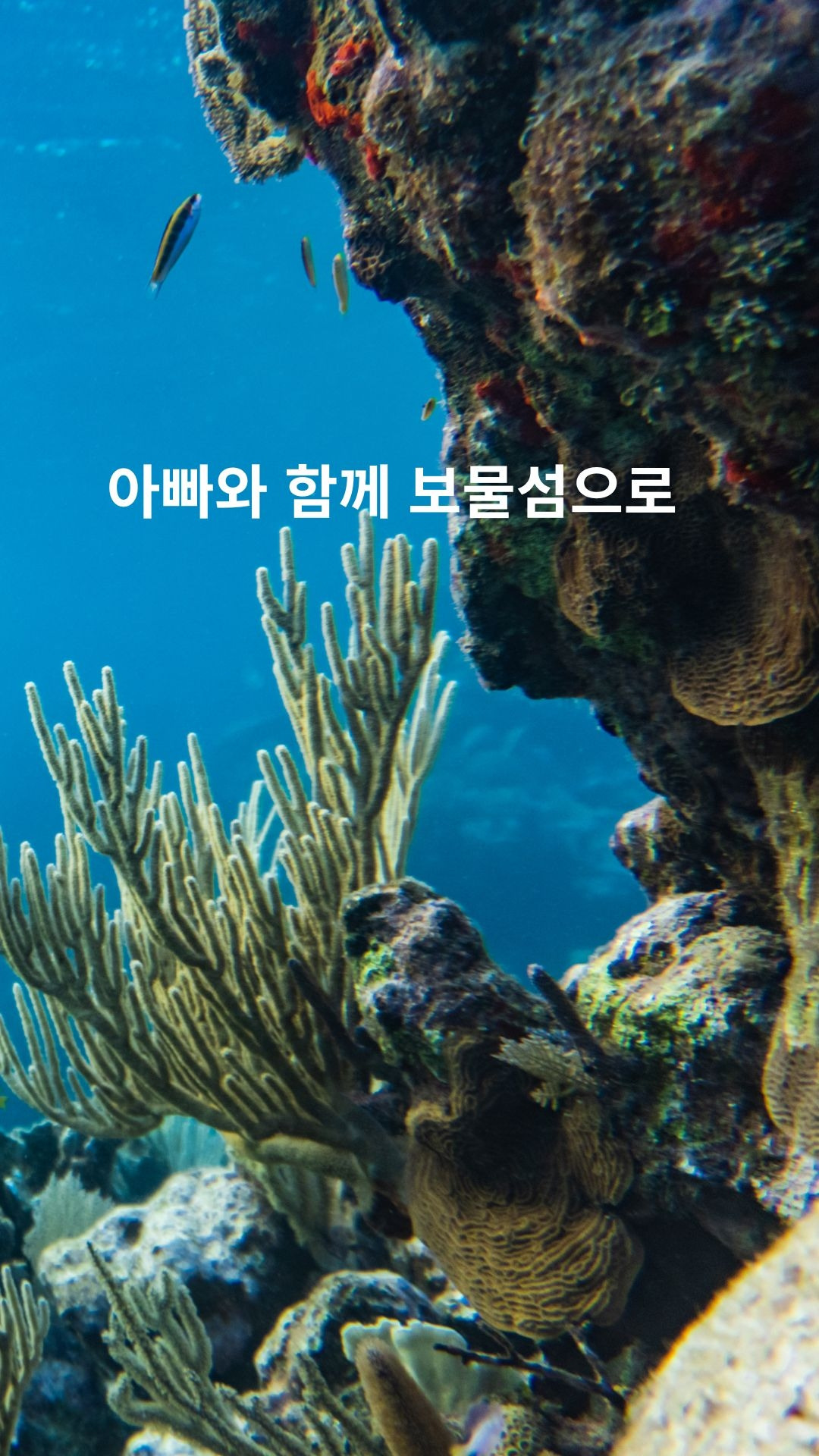 Blue and Green Photography Underwater World Phone Wallpaper.jpg