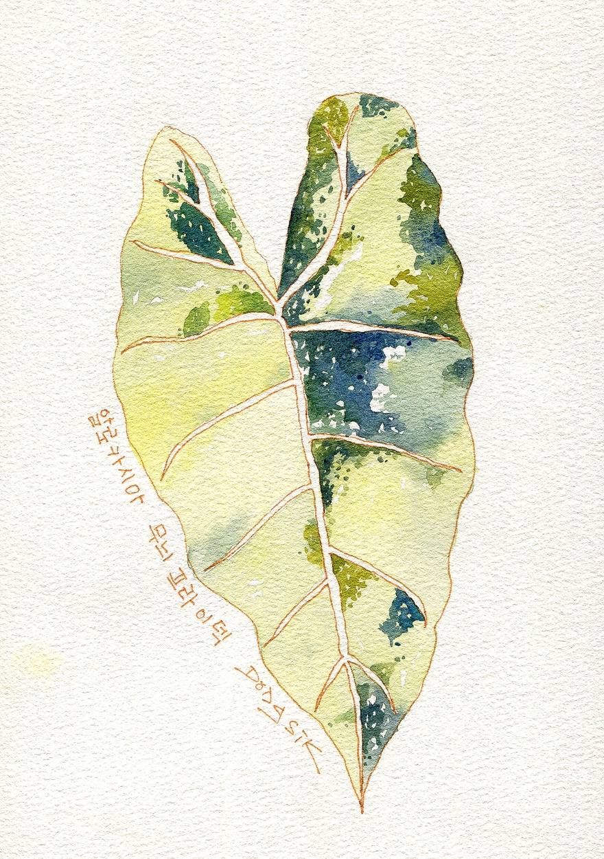 곶자왈보석상자-알로카시아 무늬프라이덱-004-s.jpg