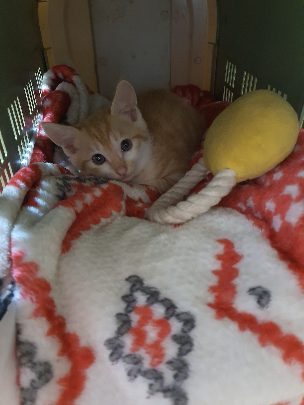 사본 -20200612_201629[1].jpg