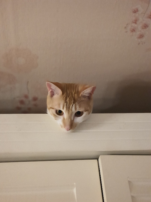 사본 -20210223_002319[1].jpg