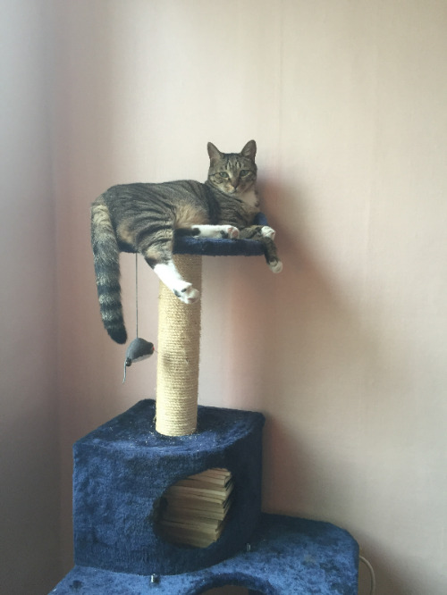 사본 -20160802_180423_IMG_0288[1].jpg