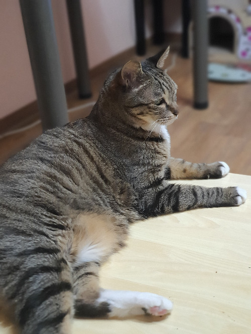 사본 -20200205_225239[1].jpg