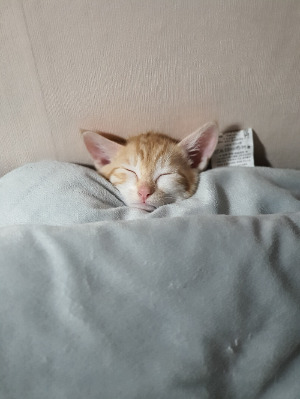 사본 -20200621_022145[1].jpg