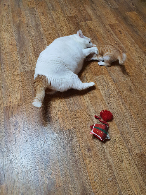 사본 -20200630_224208[1].jpg