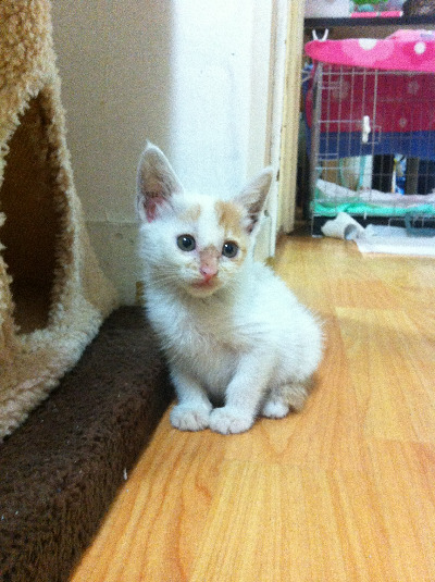 사본 -20130725_015313_IMG_2420[1].jpg