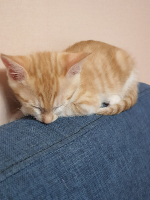 사본 -20200626_232019[1].jpg