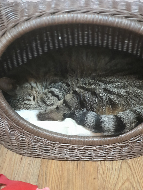 사본 -20200202_000102[1].jpg