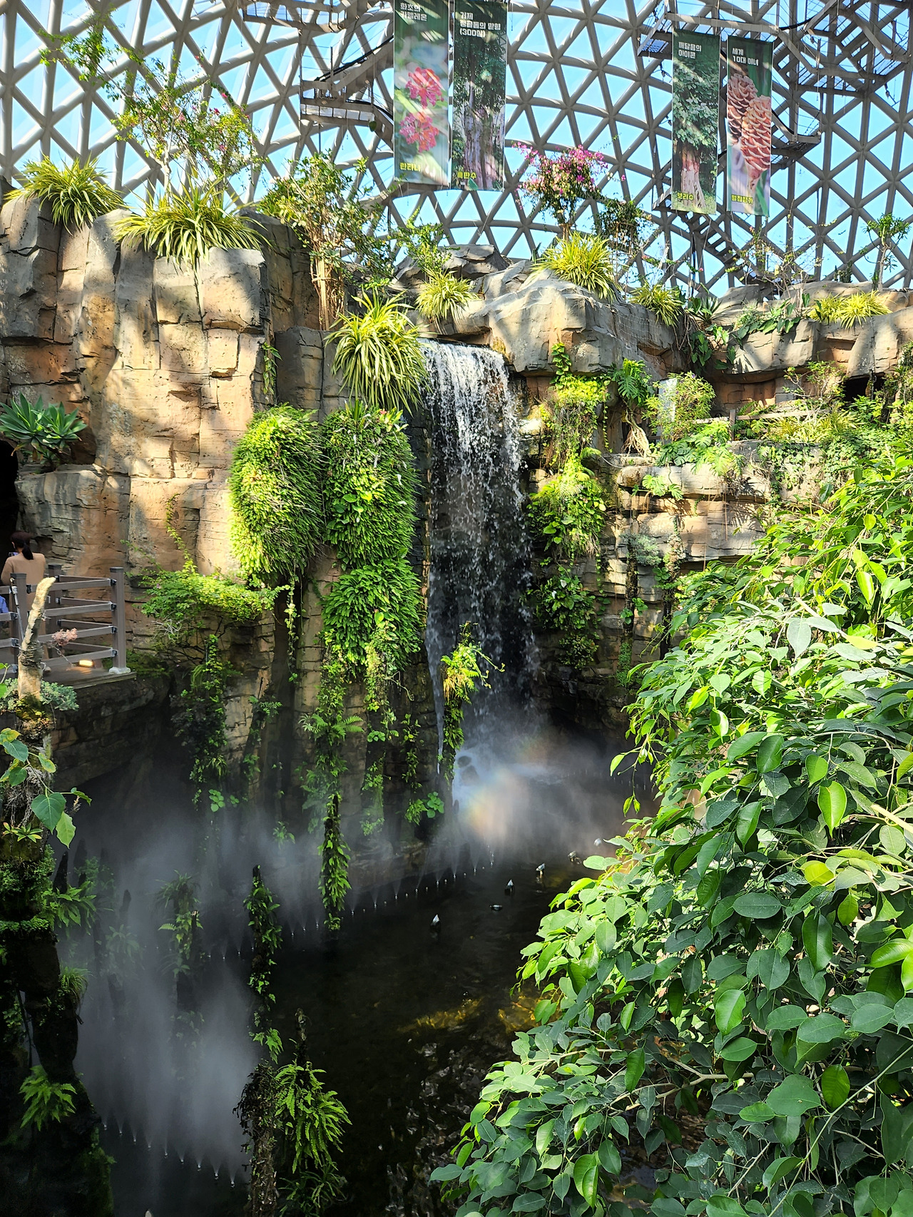 정글돔 사진 5.jpg