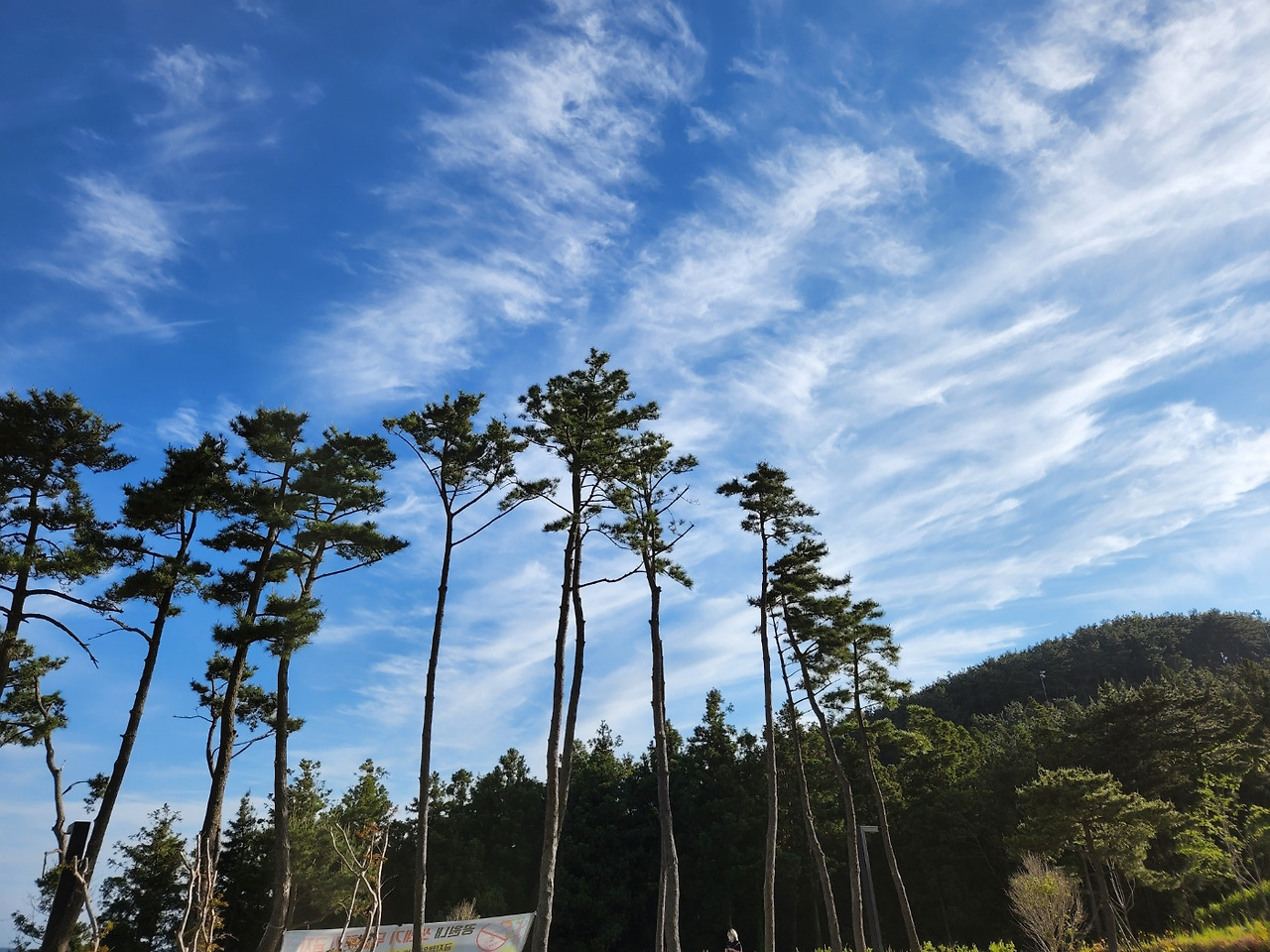 하늘이 멋진.jpg