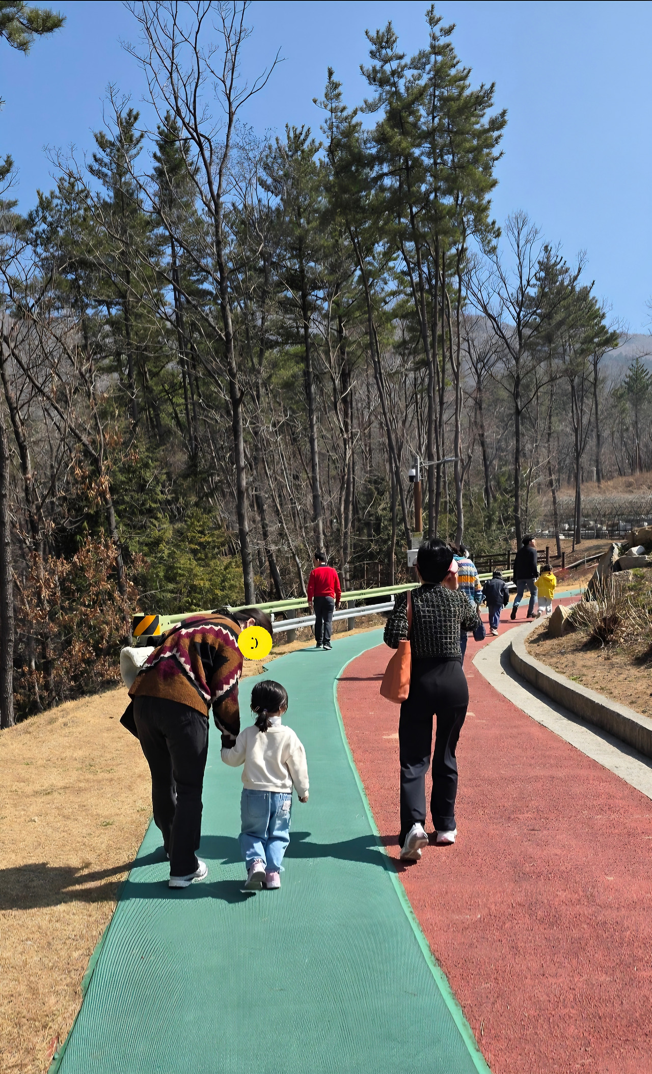 가족단위 걷기.jpg