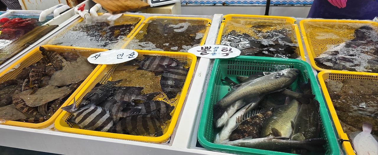 고현시장생선가게.jpg