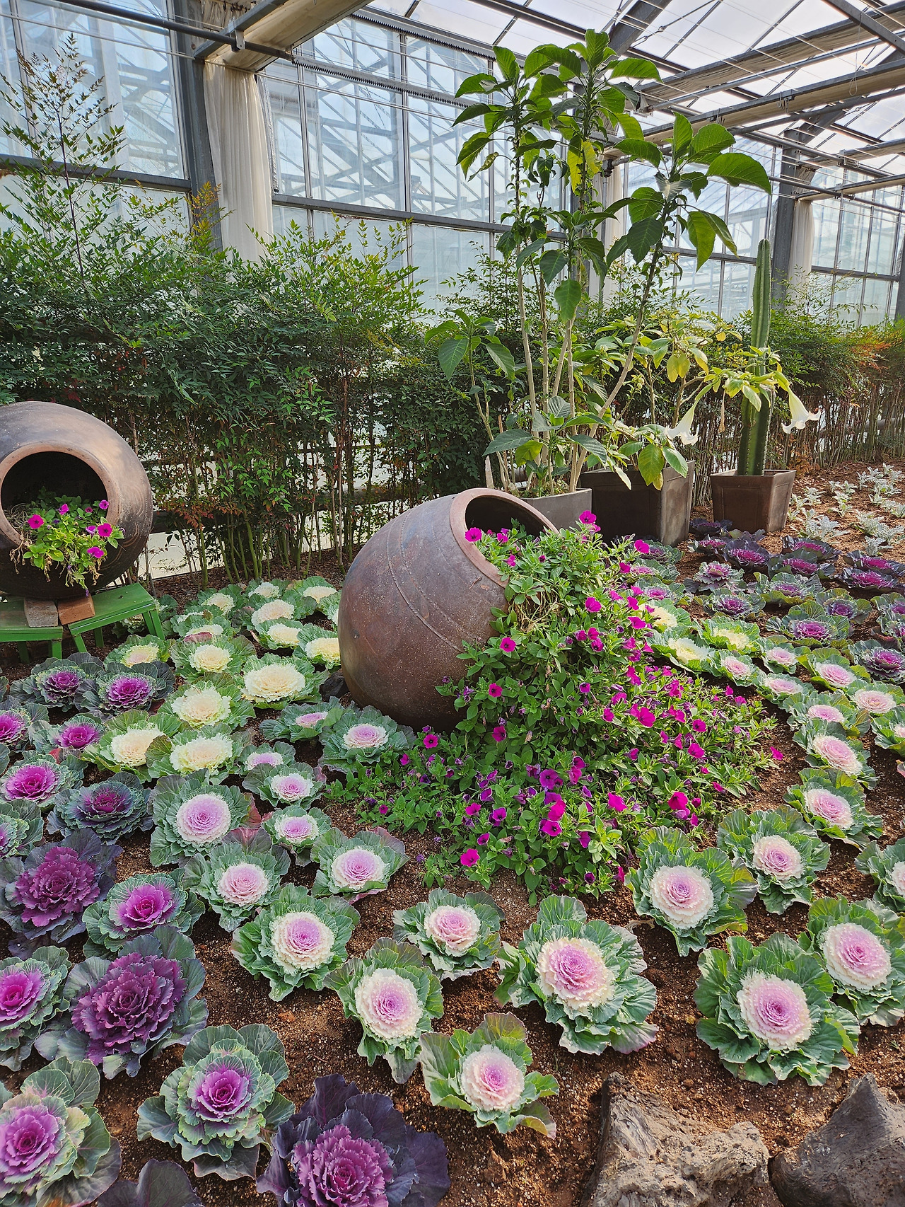 축제 사진 12.jpg