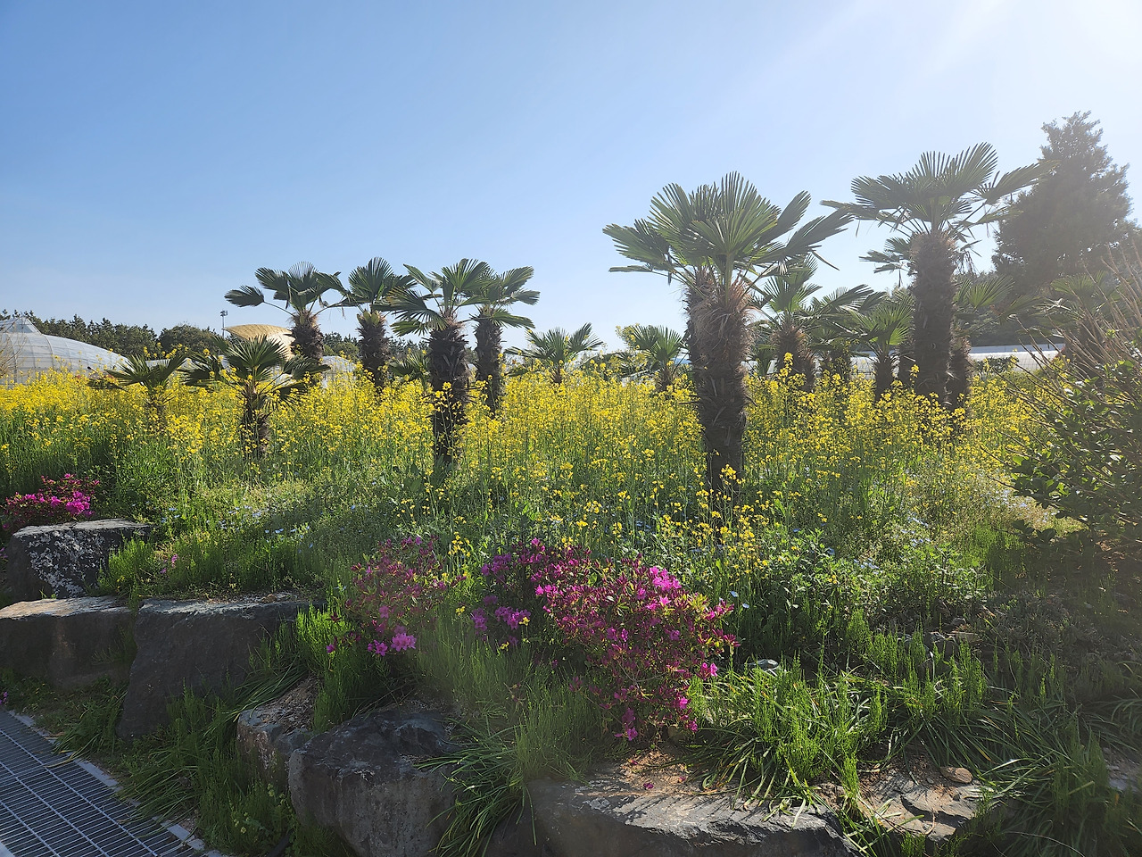 식물원 사진 3.jpg