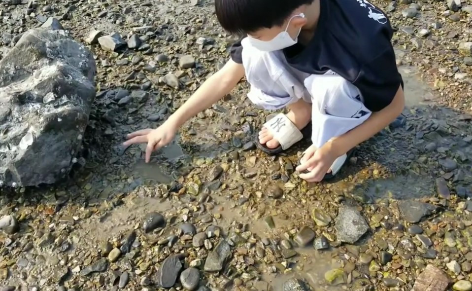 스크린샷 2024-07-17 102419.jpg