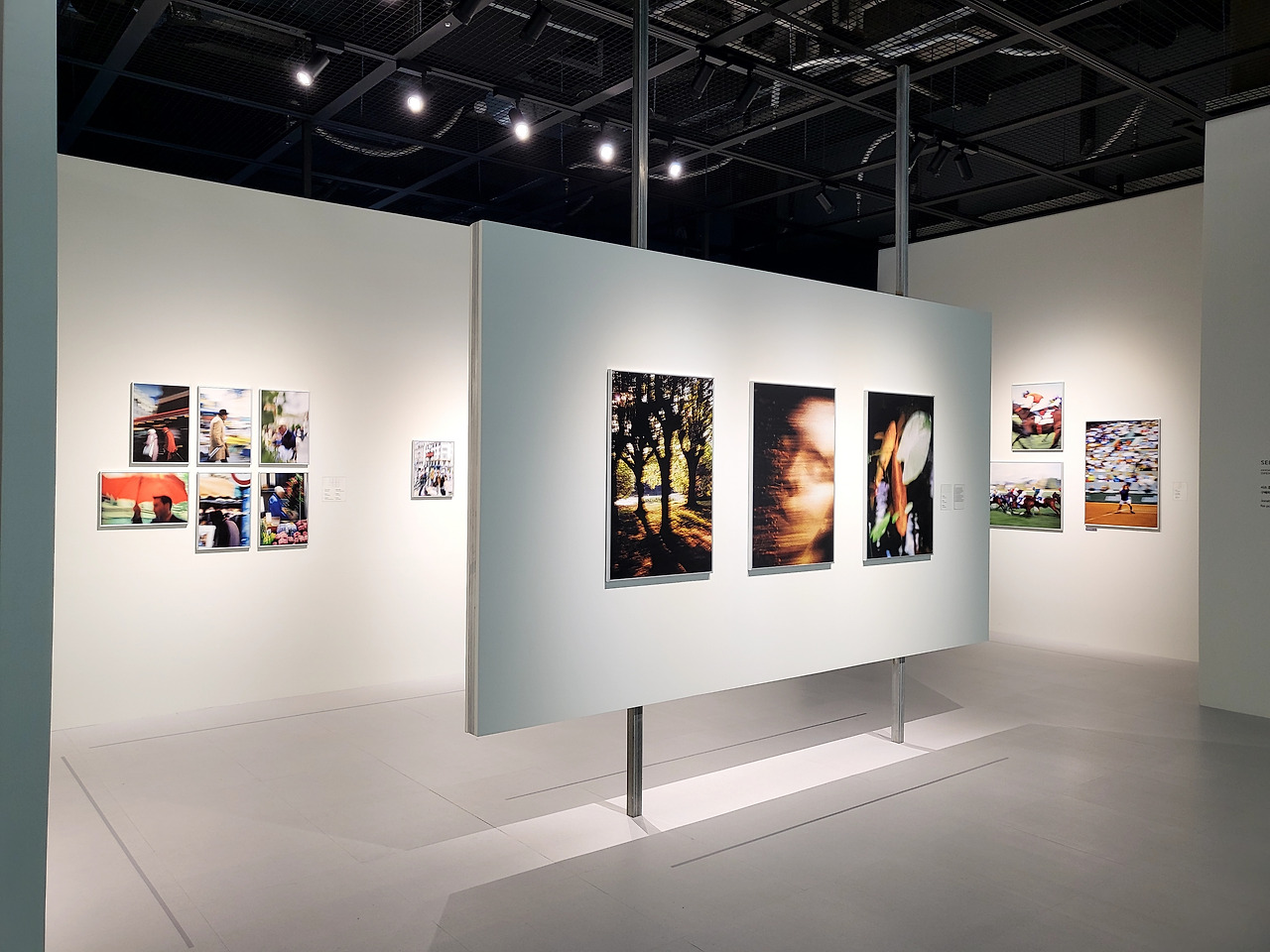 20250627_123321_01 (1).jpg