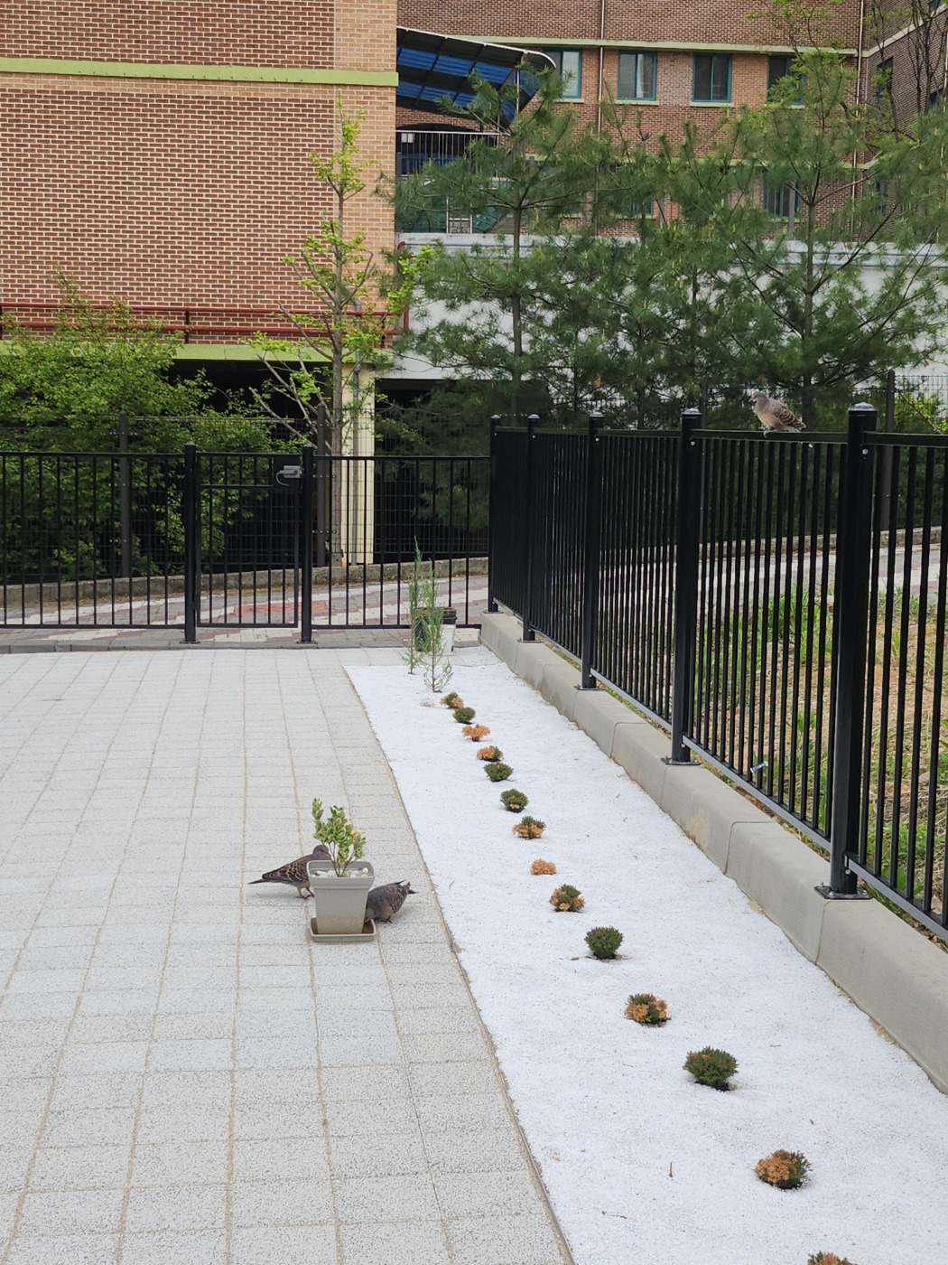 화단 콩자갈 시공 완료.jpg