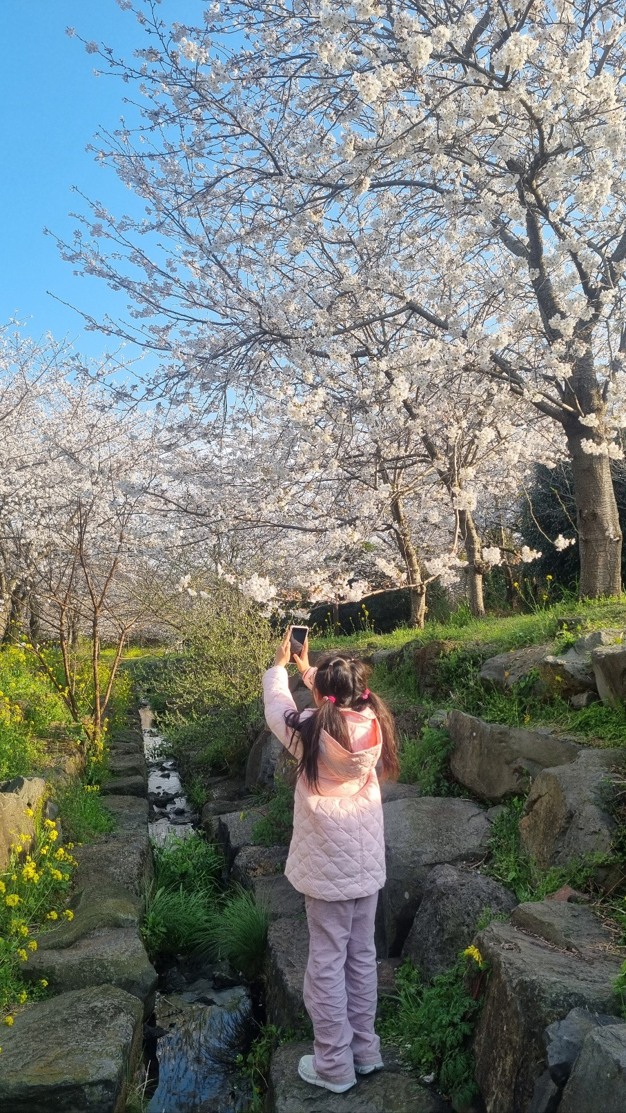 무료 카지노 게임