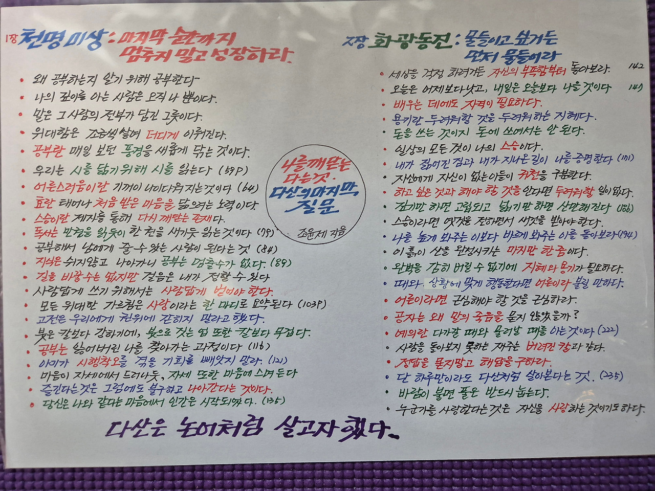 카지노 쿠폰