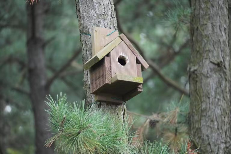 Weixin Image_20241204210112.jpg