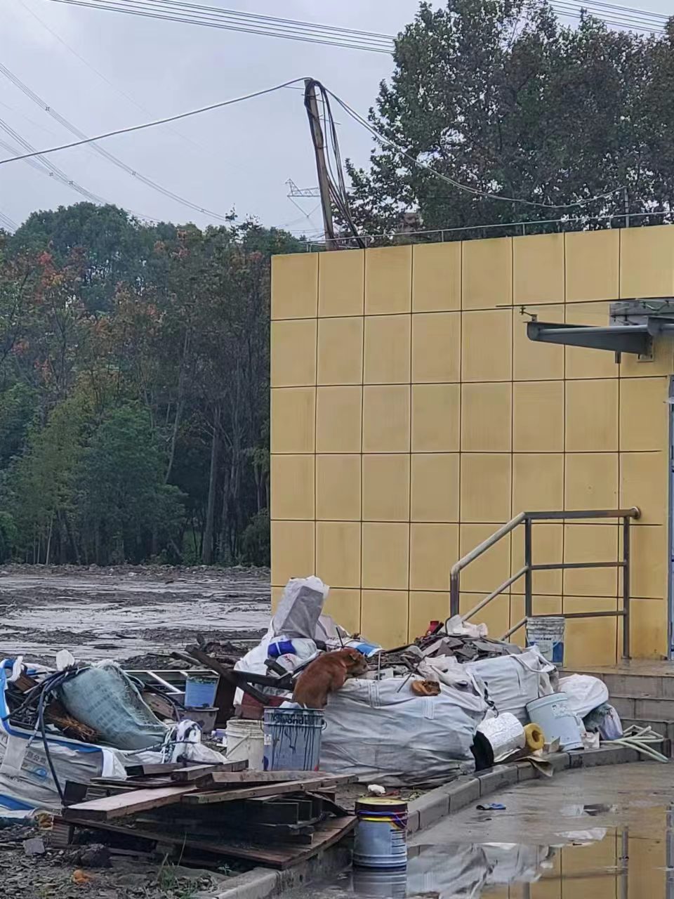 Weixin Image_20241008140219.jpg