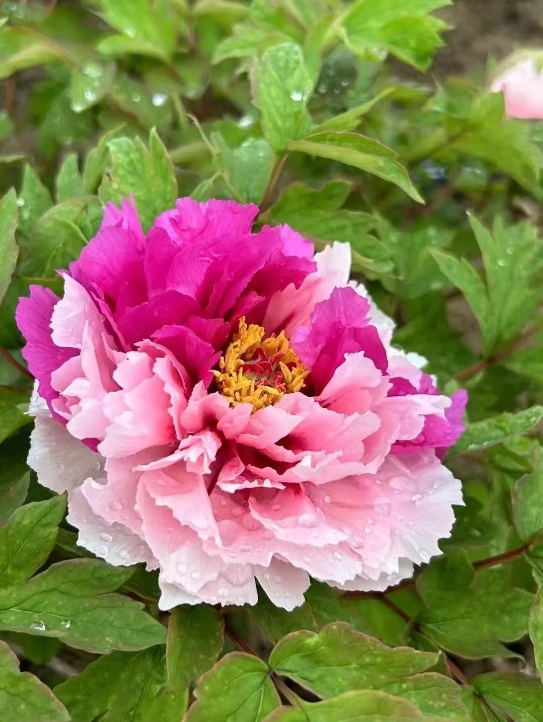 Weixin Image_20241118143038.jpg