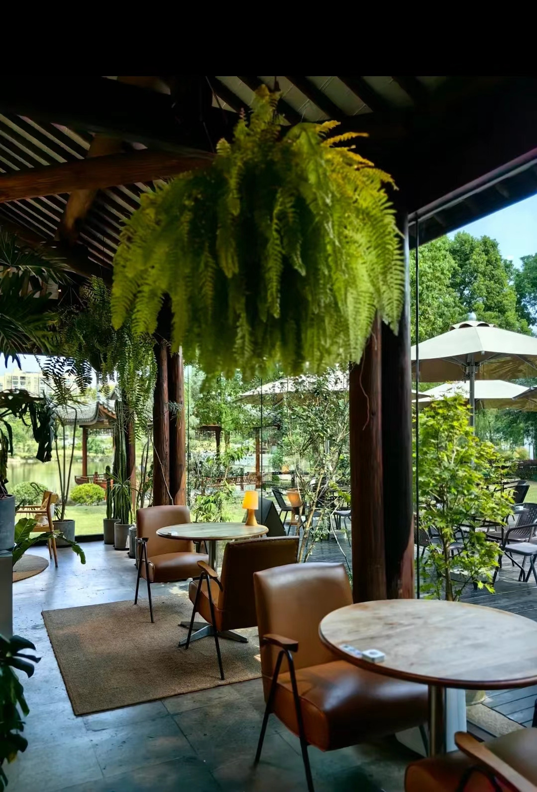 Weixin Image_20241118141731.jpg