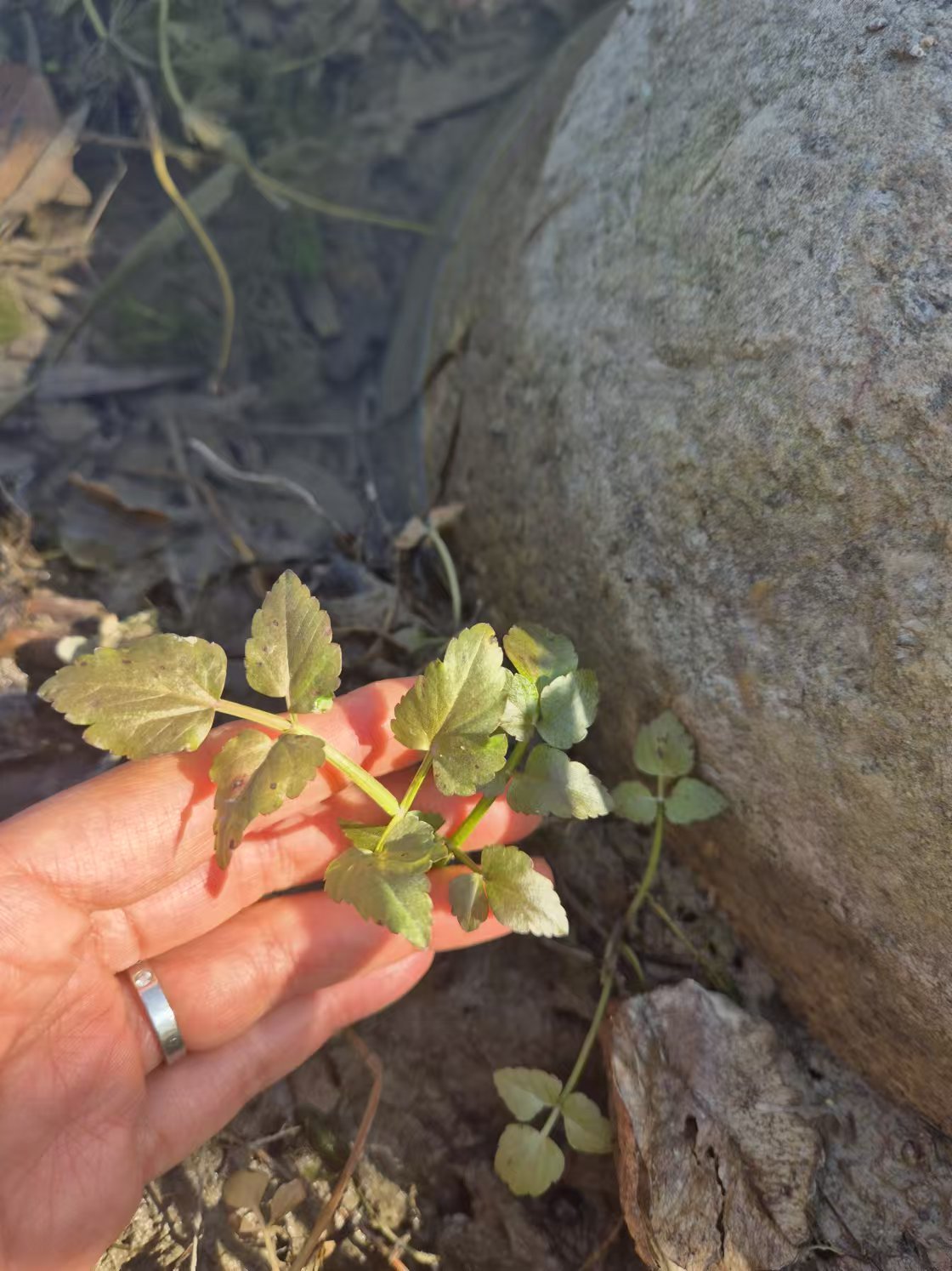 Weixin Image_20241215171633.jpg