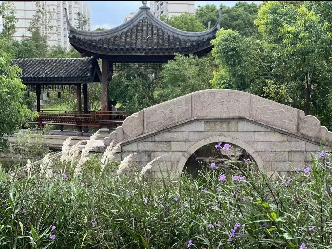 Weixin Image_20241118143106.jpg