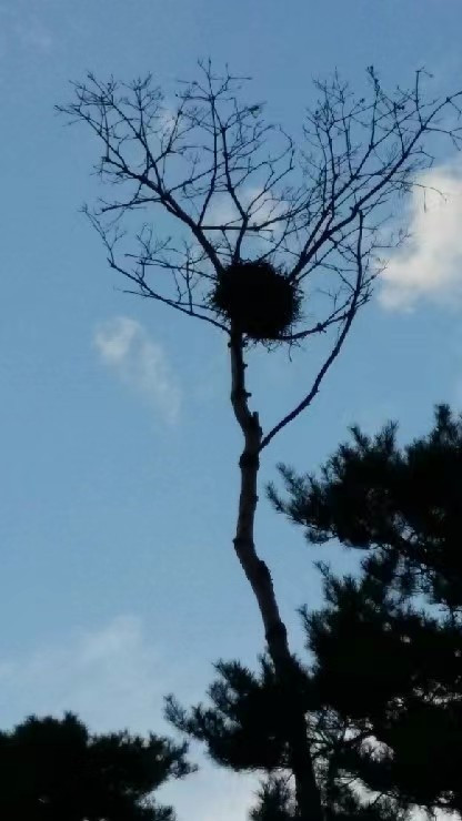 Weixin Image_20241204210033.jpg