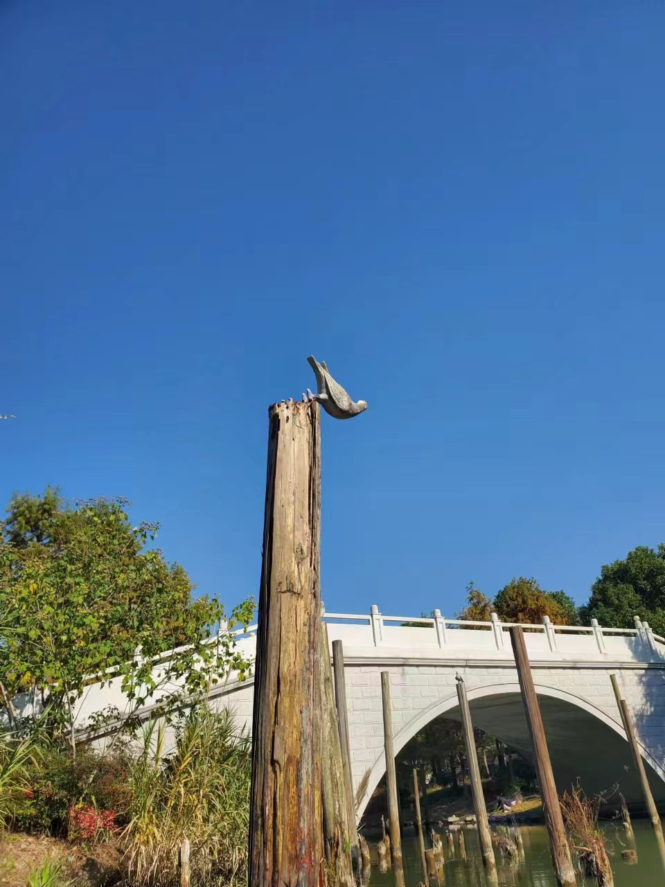 Weixin Image_20241130163954.jpg