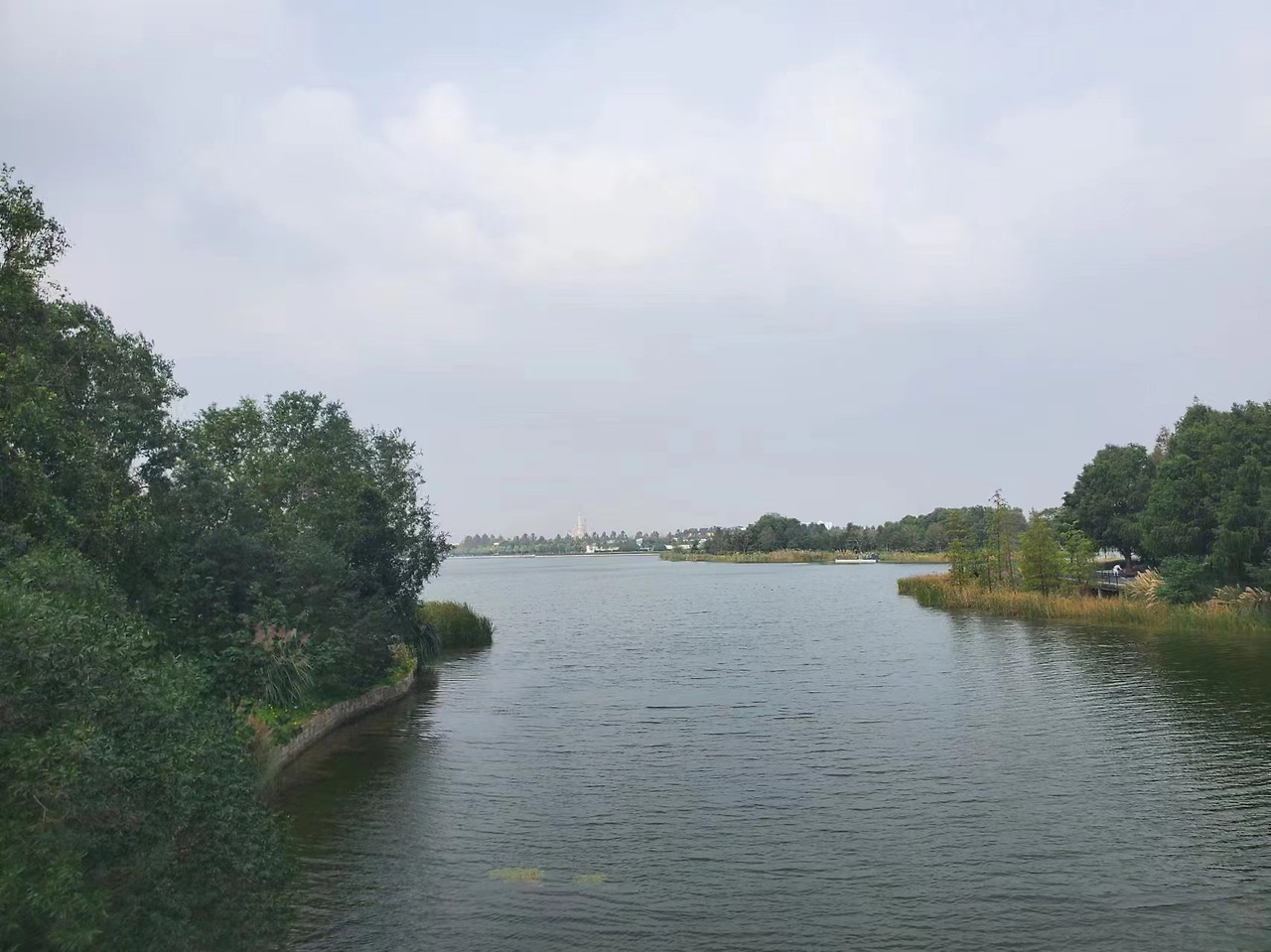 Weixin Image_20241028180606.jpg