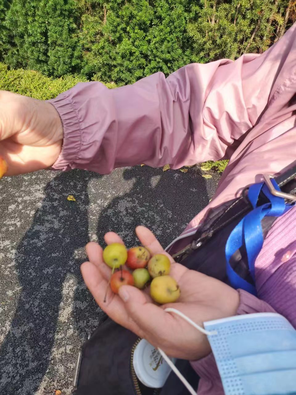 Weixin Image_20241103111828.jpg