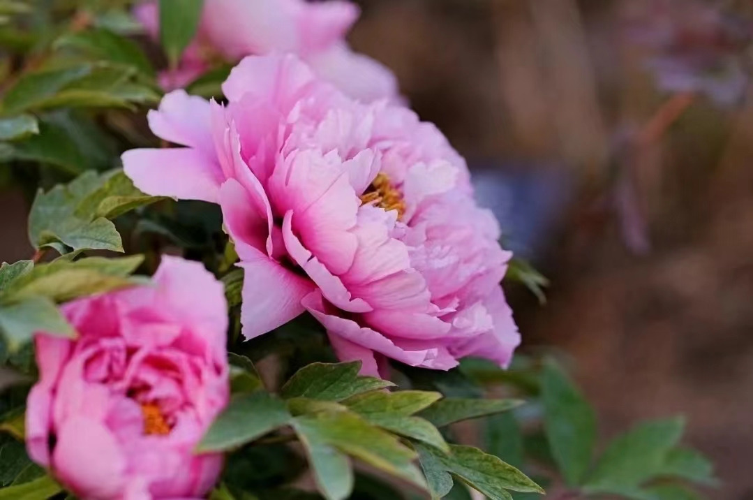 Weixin Image_20241118143025.jpg