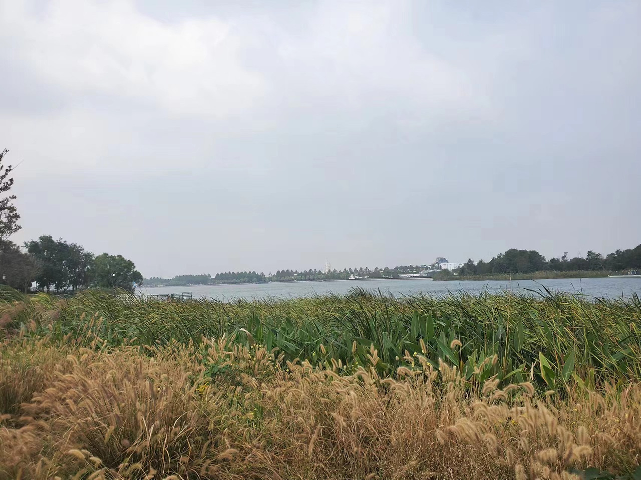 Weixin Image_20241028180610.jpg