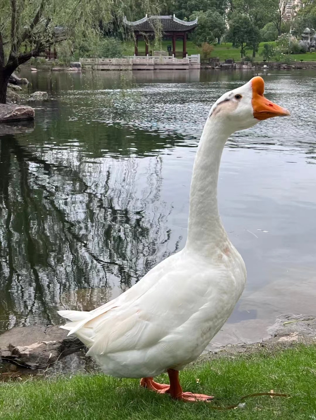 Weixin Image_20241118141735.jpg