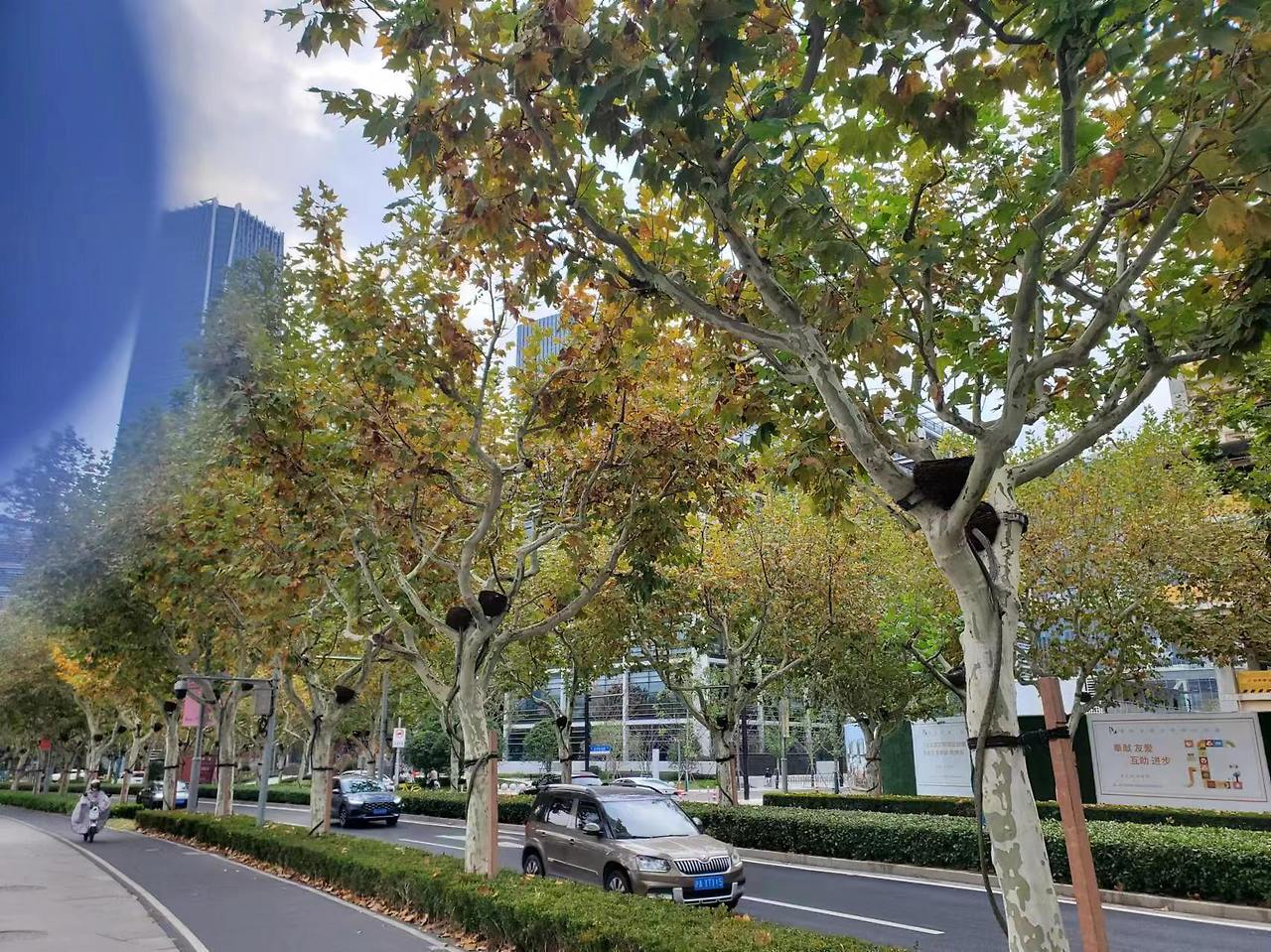 Weixin Image_20241204210125.jpg