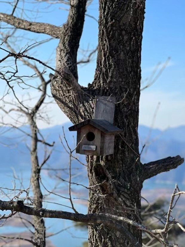 Weixin Image_20241204210108.jpg