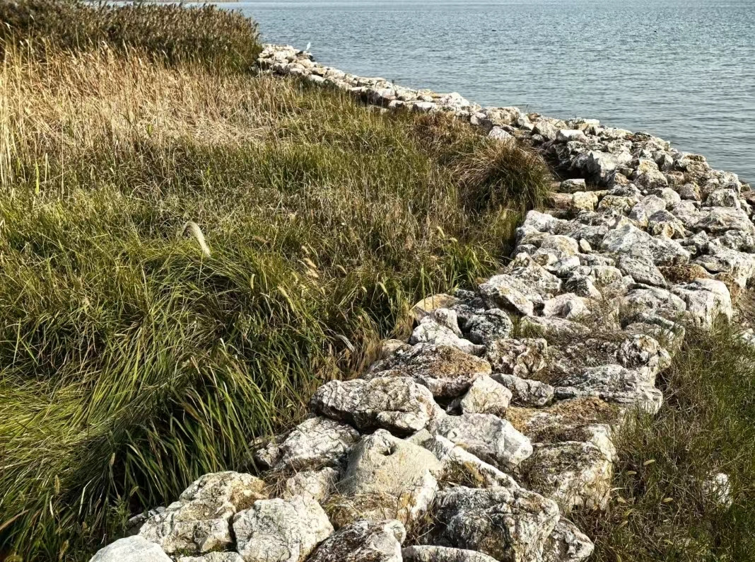 Weixin Image_20241125115446.jpg