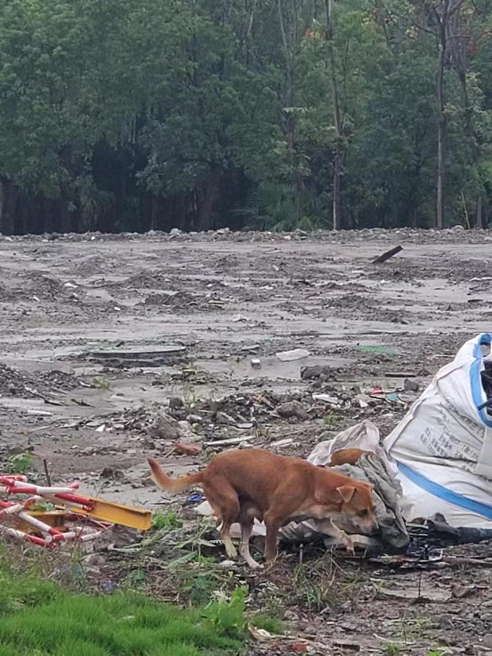 Weixin Image_20241008140227.jpg