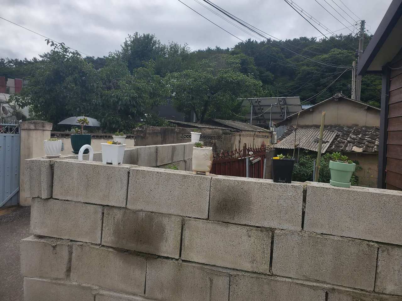 Weixin Image_20240710054005.jpg