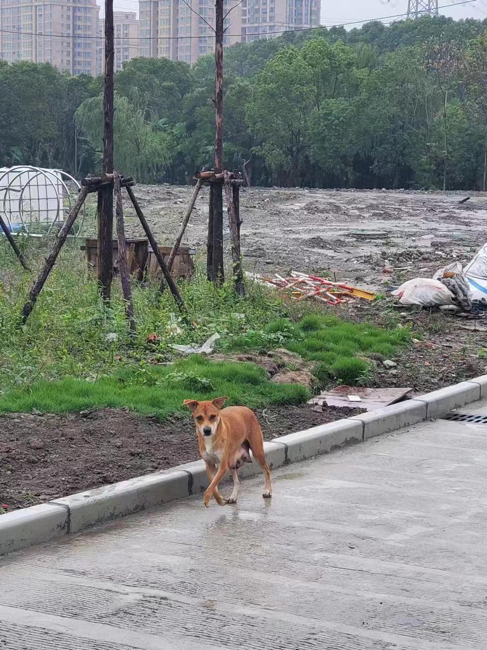 Weixin Image_20241008140207.jpg