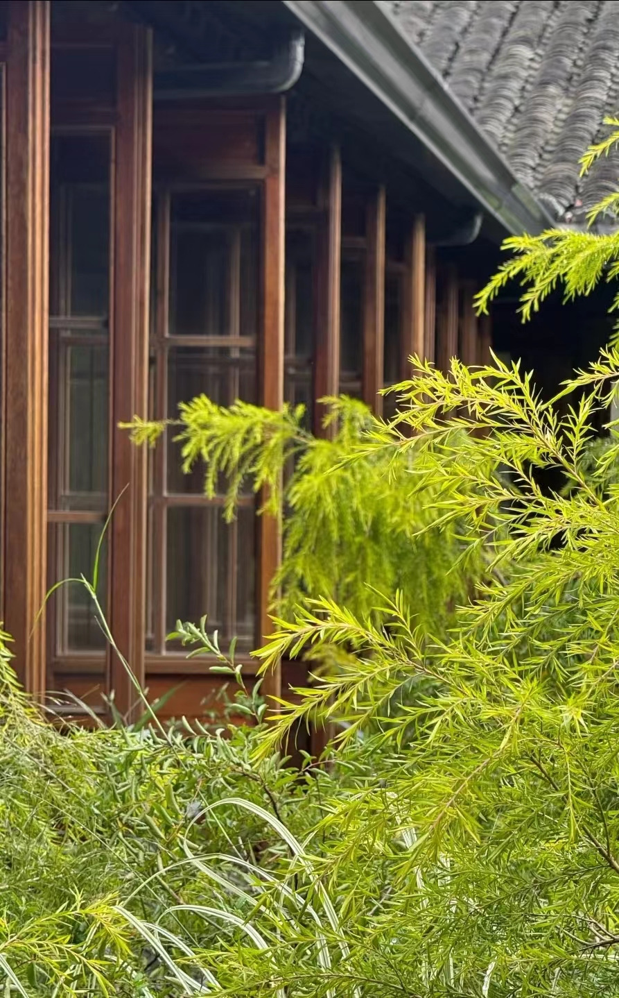 Weixin Image_20241118141728.jpg