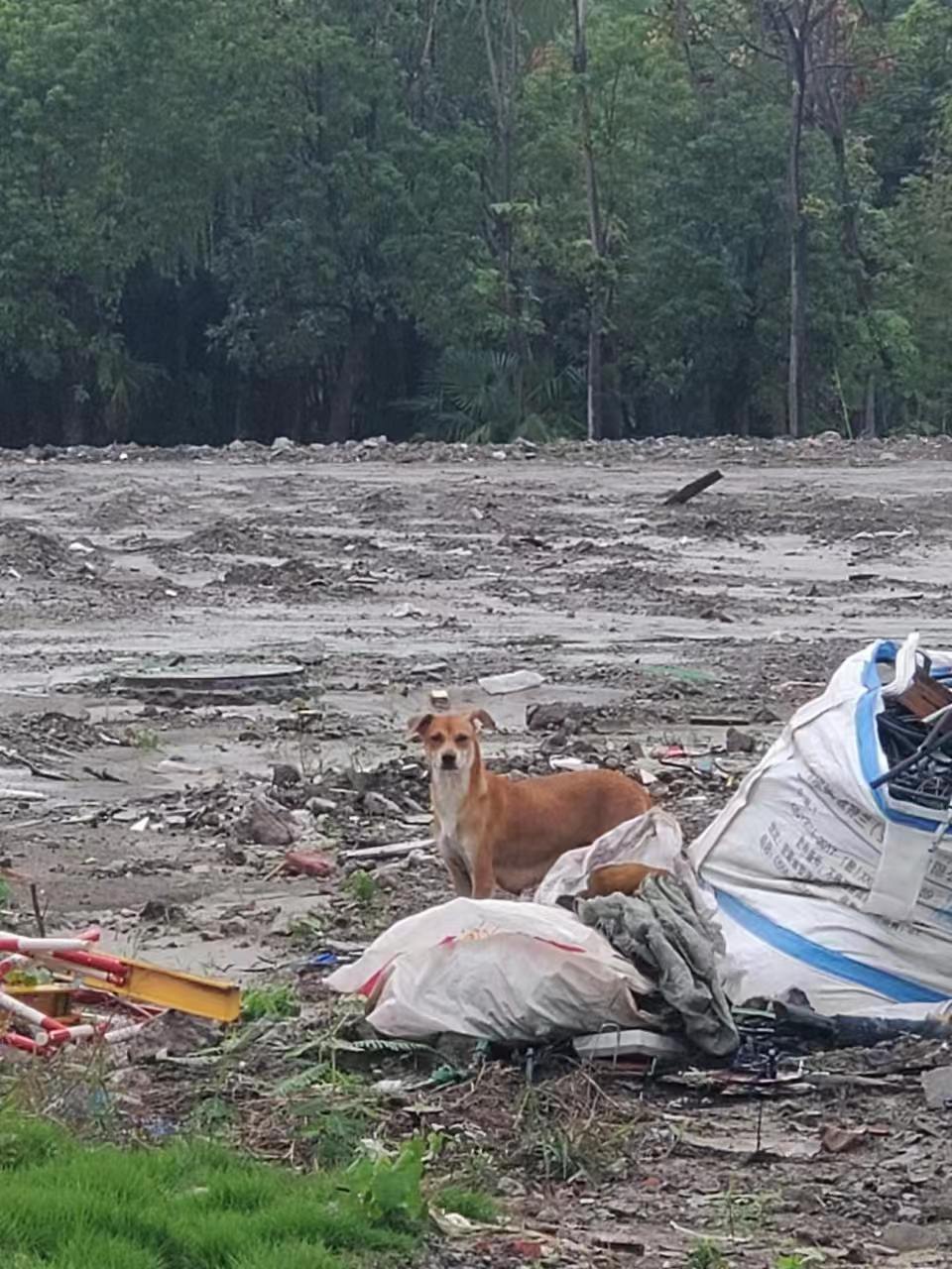 Weixin Image_20241008140223.jpg