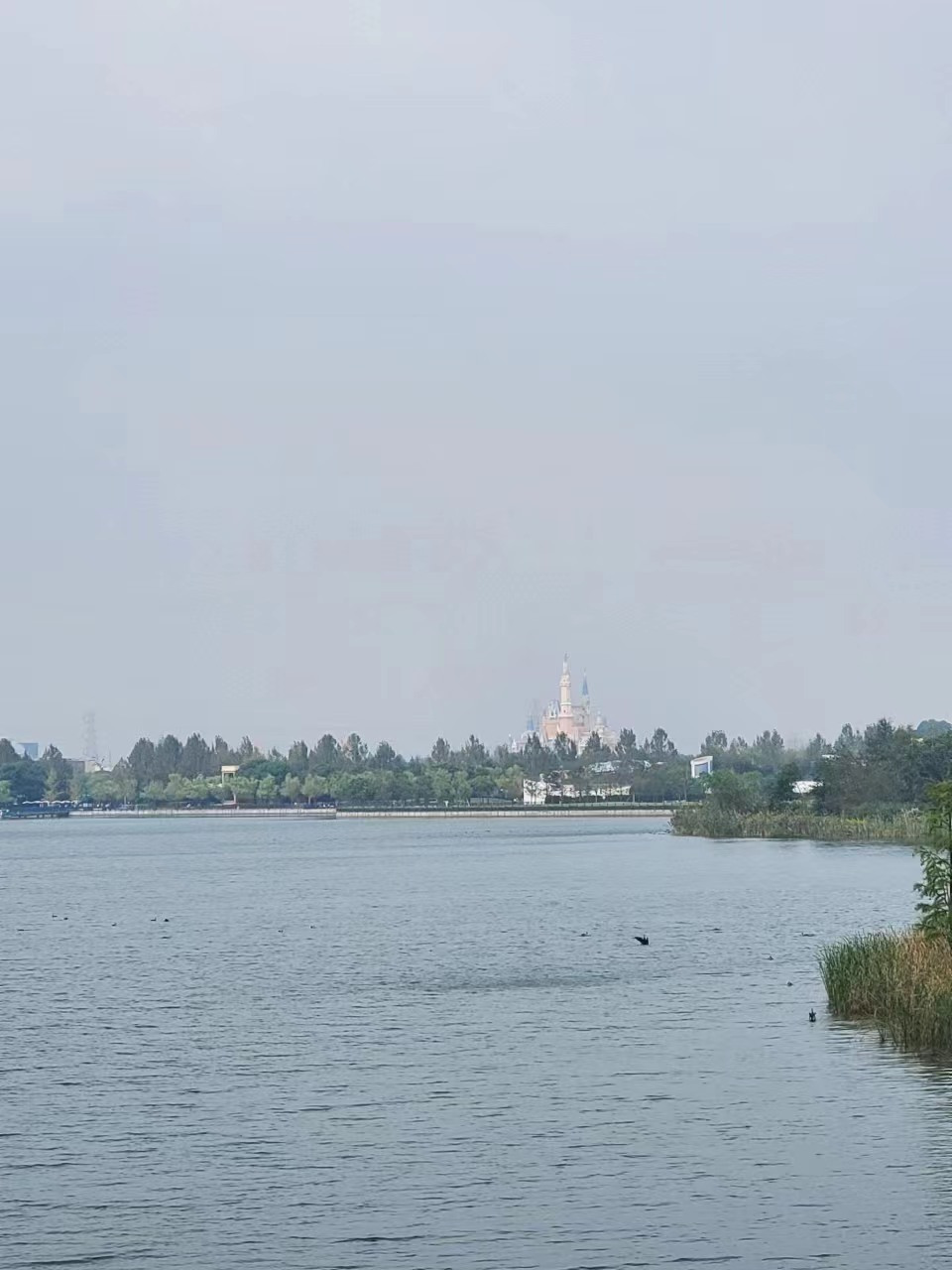 Weixin Image_20241028180602.jpg