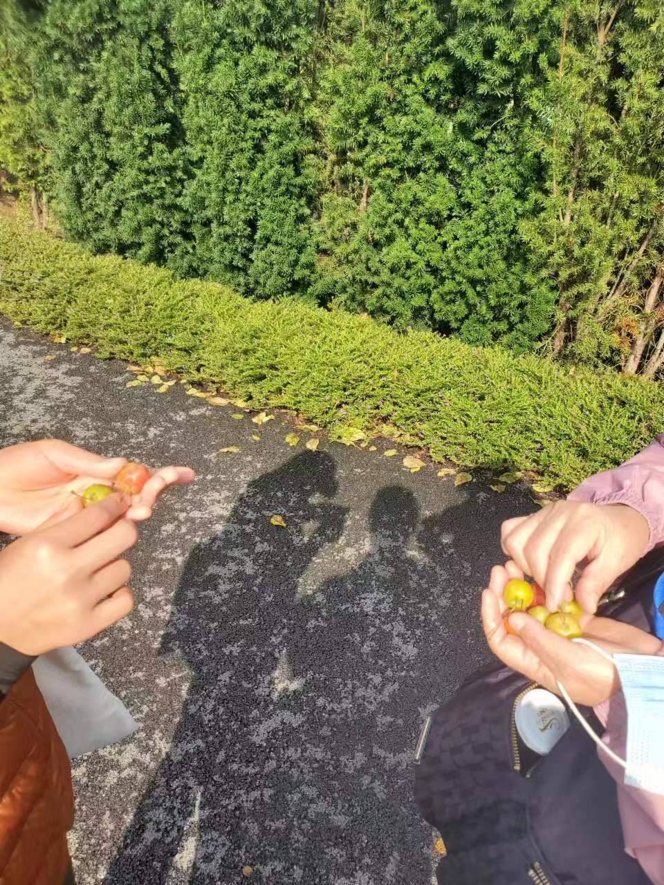 Weixin Image_20241103111834.jpg