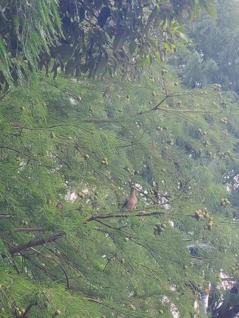 Weixin Image_20241028180550.jpg