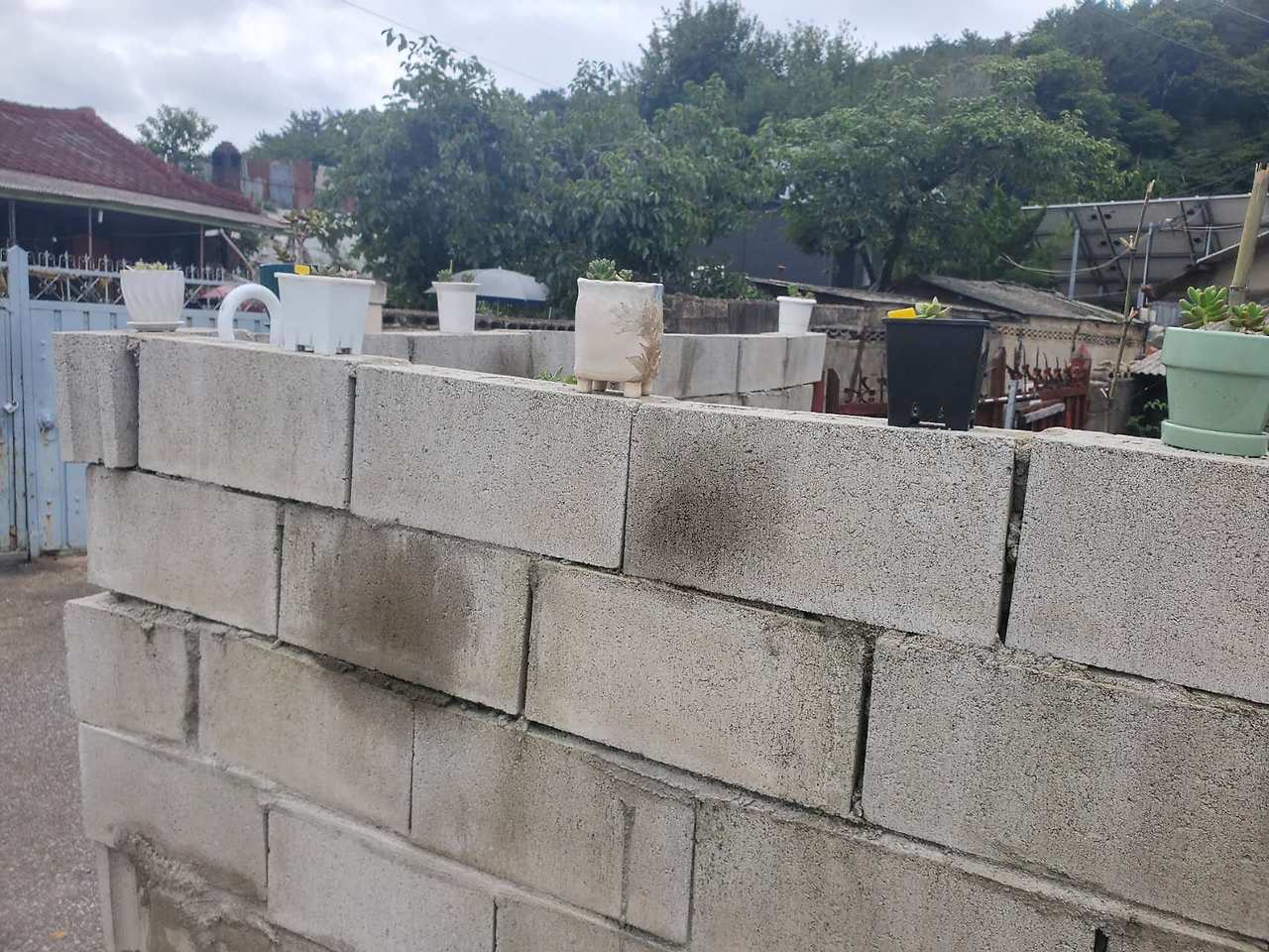 Weixin Image_20240710054025.jpg